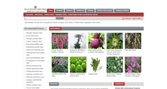 Desktop Screenshot of cnseed.org